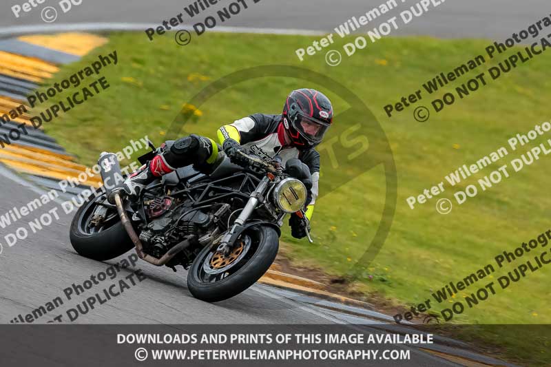 PJ Motorsport 2019;anglesey no limits trackday;anglesey photographs;anglesey trackday photographs;enduro digital images;event digital images;eventdigitalimages;no limits trackdays;peter wileman photography;racing digital images;trac mon;trackday digital images;trackday photos;ty croes